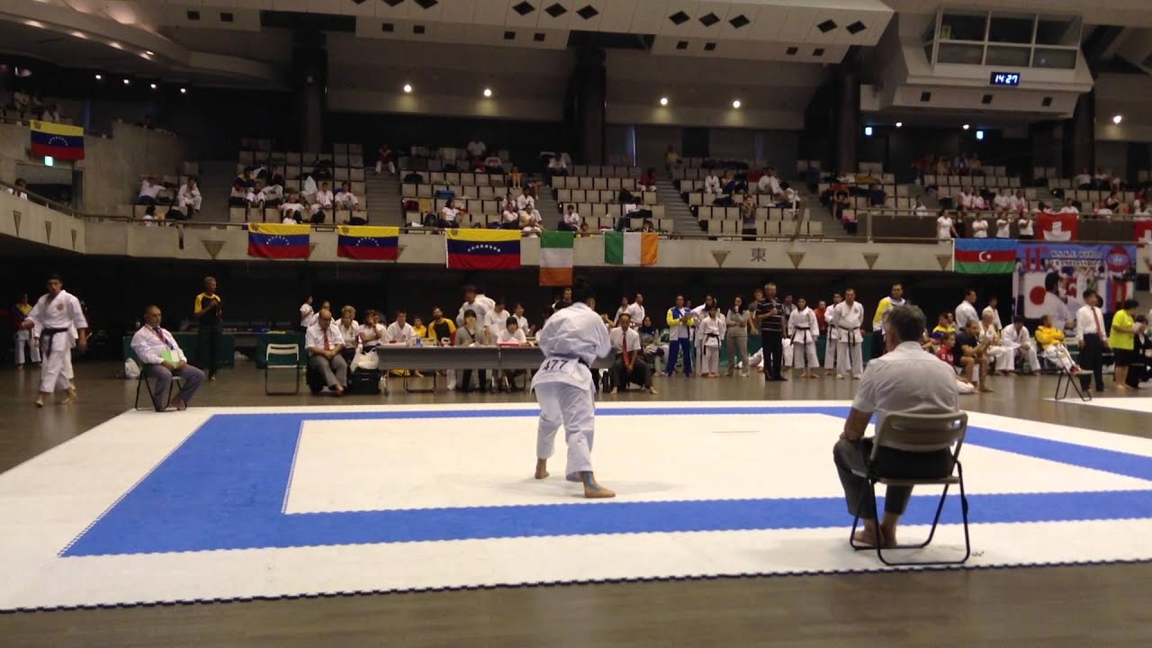 retrospektive Final Kata GOJUSHIHO SHO. 11th WSKF WORLD CHAMPIONSHIPS.