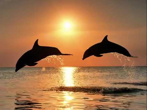 الاذان بصوت رائع وبه خشوع ناصر القطامى 