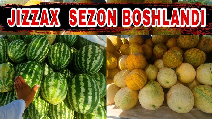 Mabuda bilan porno video