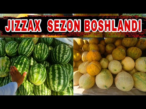 Video: Nega Gladioli Bir Xil Rangga Aylanadi? Yaqin Atrofda O'sadigan Turli Navli Gladioli Changlanishi Mumkinmi? Ikkinchi Yilda Rang O'zgarishini Qanday Oldini Olish Mumkin?