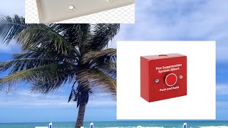 Abort Switch of FDAS Systems