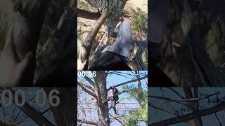 60FT TREE CLIMB IN UNDER 60 SECONDS POV