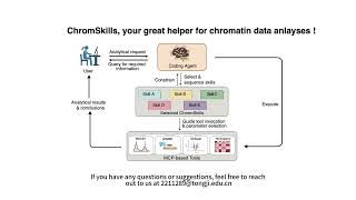 ChromSkills, your great helper for chromatin data analyses! Net Worth