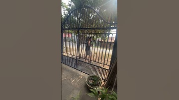 New Stunning Video, try not to blink your eye #foryou #trending #funny #ytshorts #trend #shorts