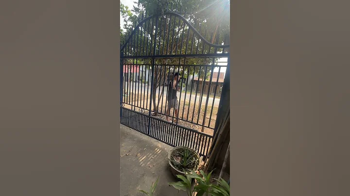 New Stunning Video, try not to blink your eye #foryou #trending #funny #ytshorts #trend #shorts