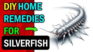 How to Get Rid of Silverfish in the House (HOME REMEDIES)