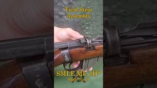 SMLE Field Strip Assembly