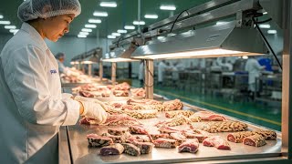 Inside the Complete Snake Processing Factory | From Capture to Luxury Manufacturing