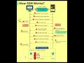 How SSH Works ? | SSH work diagram | SSH explained | what is SSH #tcp #informationtechnology #shorts