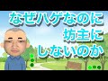 「坊主の方がいいですよ」というコメントにお答えします【ハゲ】