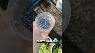 Starting a blog as a side Hustle #careerhelp