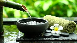 Morning Piano, Deep Sleep & Quiet Bamboo Water 24/7 自然の音とともに音楽をリラックス バンブーウォーターファウンテン【癒し音楽BGM】