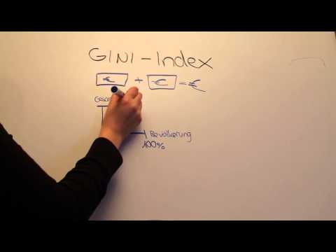 Der Gini Index