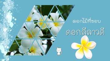 (การสร้างวิดีโอแนะนำตัวเองด้วยโปรแกรม PowerPoint)