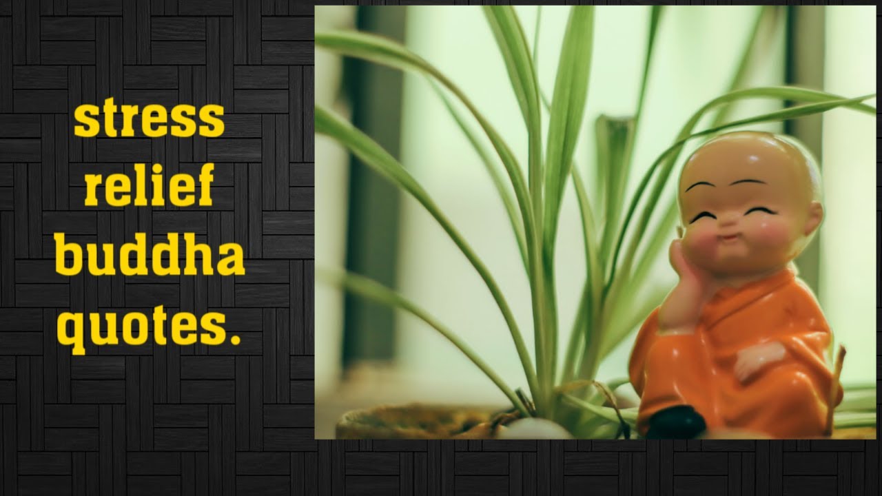 stress relief quotes buddha.monti monu 89.