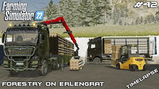 Moving TRUNK pallets & selling CARDBOARD | Forestry on ERLENGRAT | Farming Simulator 22 | Episode 42