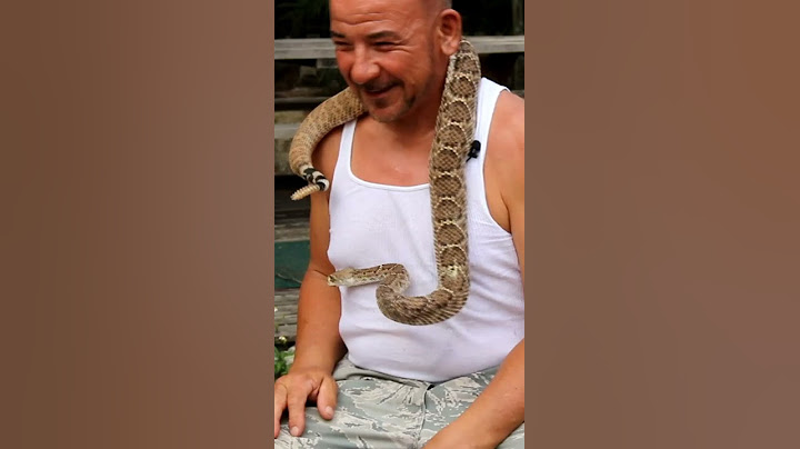 Albert & His Pet Rattlesnake