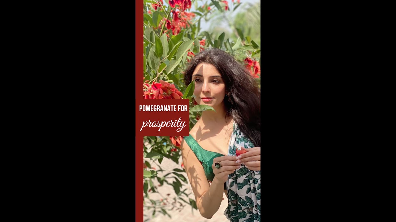 Download Pomegranate for Prosperity | Dr. Jai Madaan