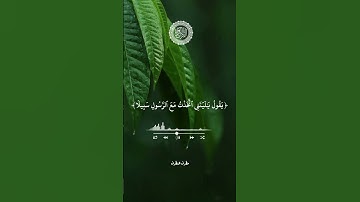 #تلاوات_مطرف_المطرف #تلاوات_خاشعة #تلاوات #القرآن_الكريم #صلوا_على_النبي #السعودية #اكسبلور #لايك