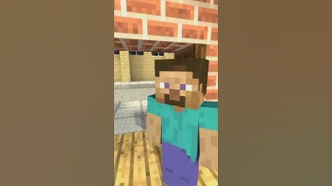 Animation Minecraft - steve, you gotta help me i