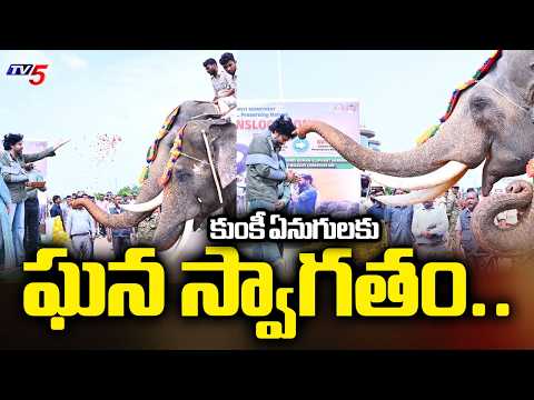 కుంకీ ఏనుగులకు ఘన స్వాగతం..DY CM Pawan Kalyan Grand Welcome To Kumki Elephants | Mangalagiri | TV5 - TV5NEWS