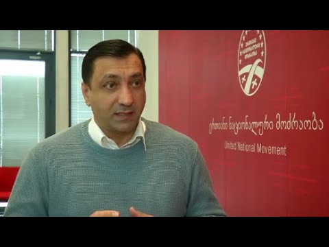 რადგან მელიას დაკავება იყო პოლიტიკური აქტი, პოლიტიკური შეთანხმებით უნდა გამოვიდეს - ბეჟაშვილი