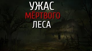 ЛЕС. Страшные истории про деревню. Деревня. Лес. Тайга. Истории на ночь. Ужасы.