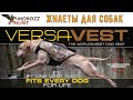 Жилеты для собак Avery и Momarsh VERSA VEST обзор.