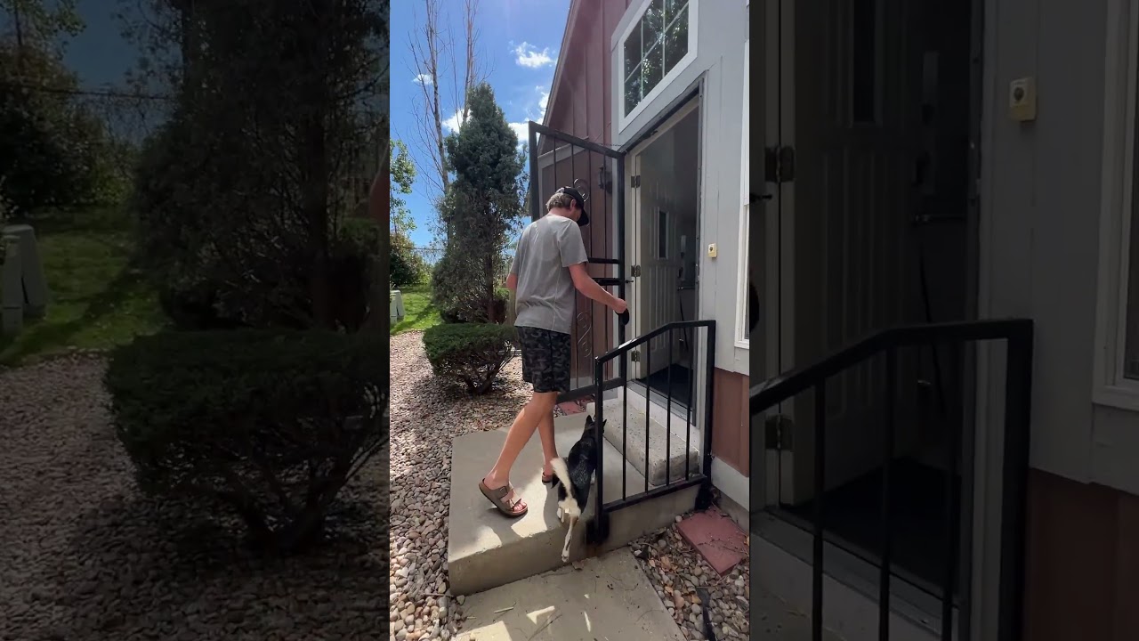 Distressed and Whitewashed Reclaimed Wood 