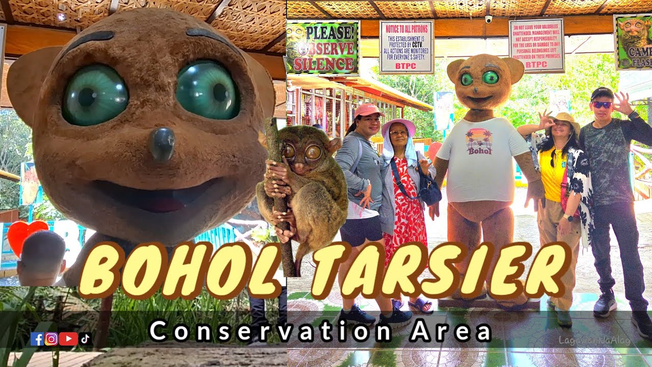 Bohol Tarsier conservation area. 