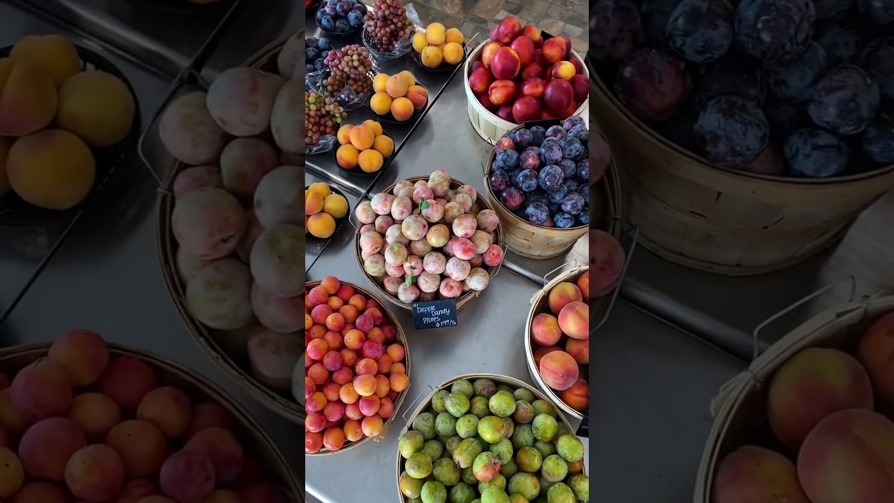 Farm to Table BEST Local Fruit Stand🍑Fresh Picks 2025 
