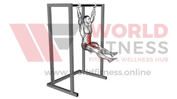 Hanging Flutter Kick Demo