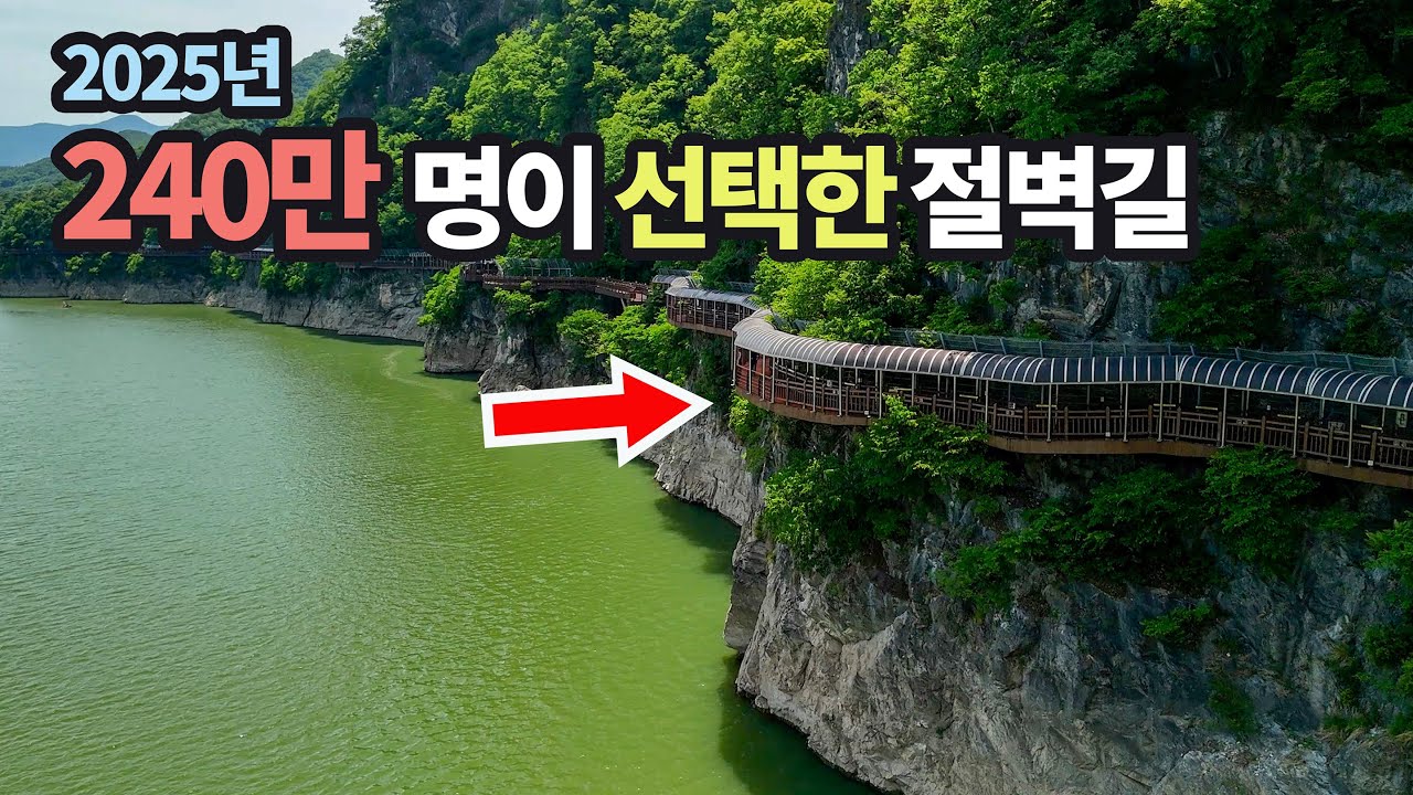 🛑🚞발밑은 낭떠러지! 절벽위 잔도, 왜 이렇게 인기일까? 🛑6월에만 열리는 금계국꽃길