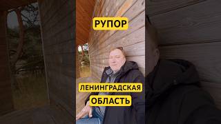 В Ленинградской области есть рупор - место уединения #путешествияпороссии #ленинградскаяобласть