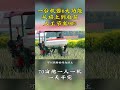 大葱还能这样种植？无需再请人工，一台机器一天培土70亩地，真厉害！#大葱 #种植户