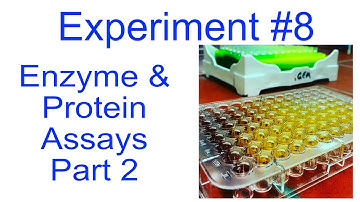 Enzyme and Protein Assays   Part 2