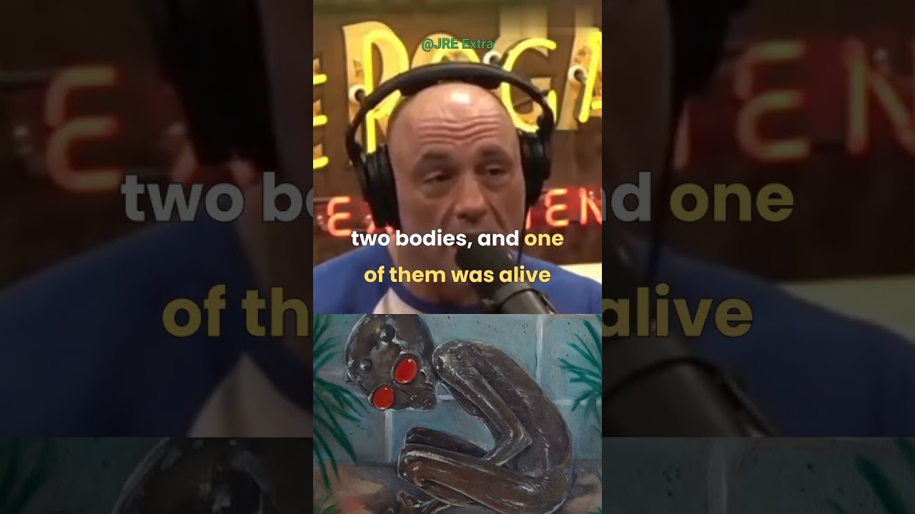 Joe Rogan on the UFO crash in Brazil 