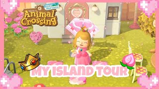 Animal Crossing New Horizons  Princess Peach tour