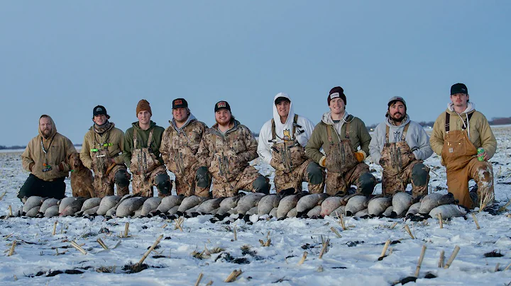 Goose Hunting Late Season Honkers in Minnesota (9 MAN LIMIT)
