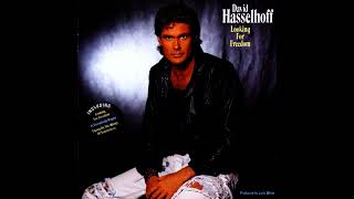 David Hasselhoff: \