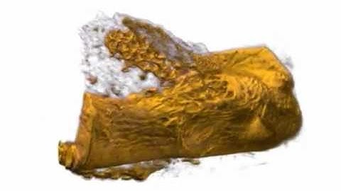 Bone Tissue Engineering Micro CT visualization