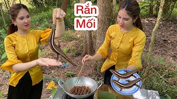 Ly Ngô Đi Câu Rắn Mối Về Chiên Sả Nghệ, Thấy Con Này Hơi Sợ Mà Ăn Ngon Quá Trời| Ly Ngô Vlog