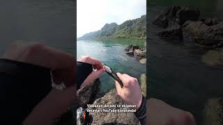 #balıkavı #fishing #fujin #karadeniz #istavrit #lrflightrockfishing #trabzon #ryuji #balıkavı #