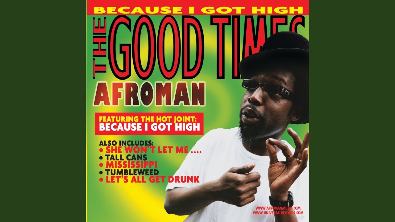 Because I Got High (Radio Edit) YouTube