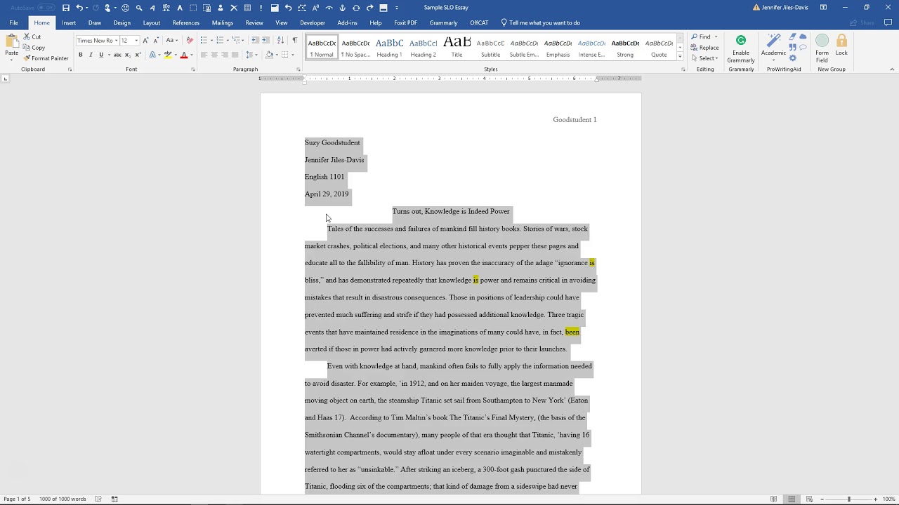 microsoft word essay margins