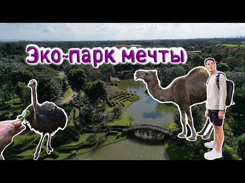 4K: Знакомство С Дикой Природой В Чиангмае, Как Никогда Раньше, В Эко-Парке И Зоопарке .