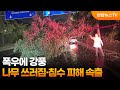 폭우에 강풍…나무 쓰러짐·침수 피해 속출 / 연합뉴스TV (YonhapnewsTV)