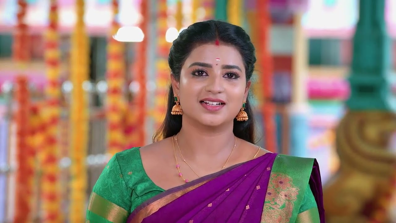 Karthigai Deepam - Full Ep - 868 - Karthikeyan, Deepa, Abirami - Zee Tamil