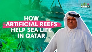 Do you know Qatar makes artificial reefs to protect its marine environment | Live Green | Ep 28