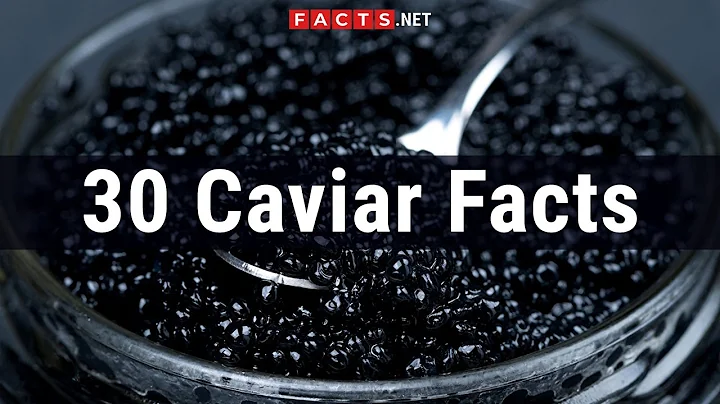 30 Caviar Facts About The Roe From The Sturgeon Beluga - DayDayNews
